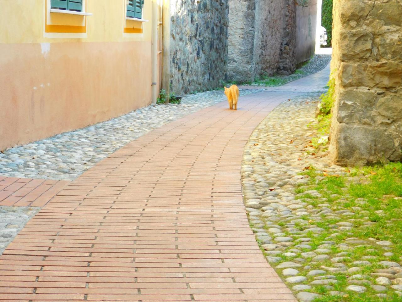 Ferienwohnung Bellissima Casa Nel Centro Storico!!! Levanto Exterior foto